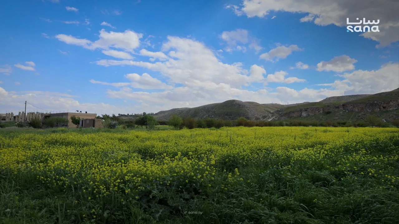 انخفاض درجات الحرارة عن معدلاتها الطبيعية في عموم سوريا مع فرص لهطول أمطار